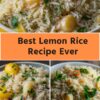 Best Lemon Rice Recipe Ever
