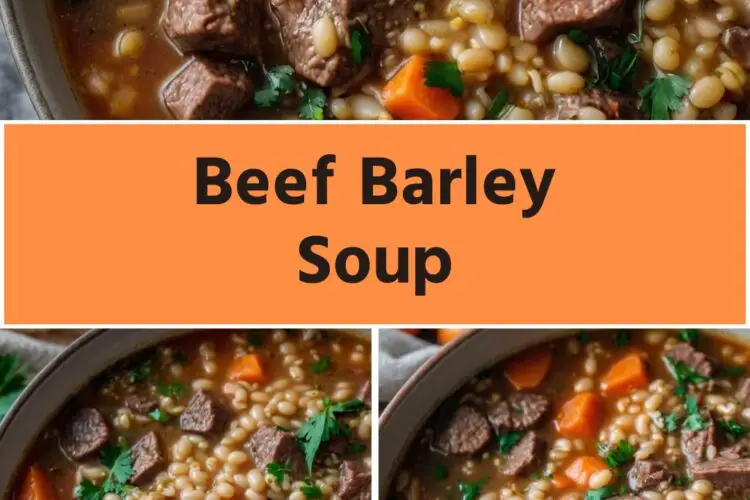 beef barley soup