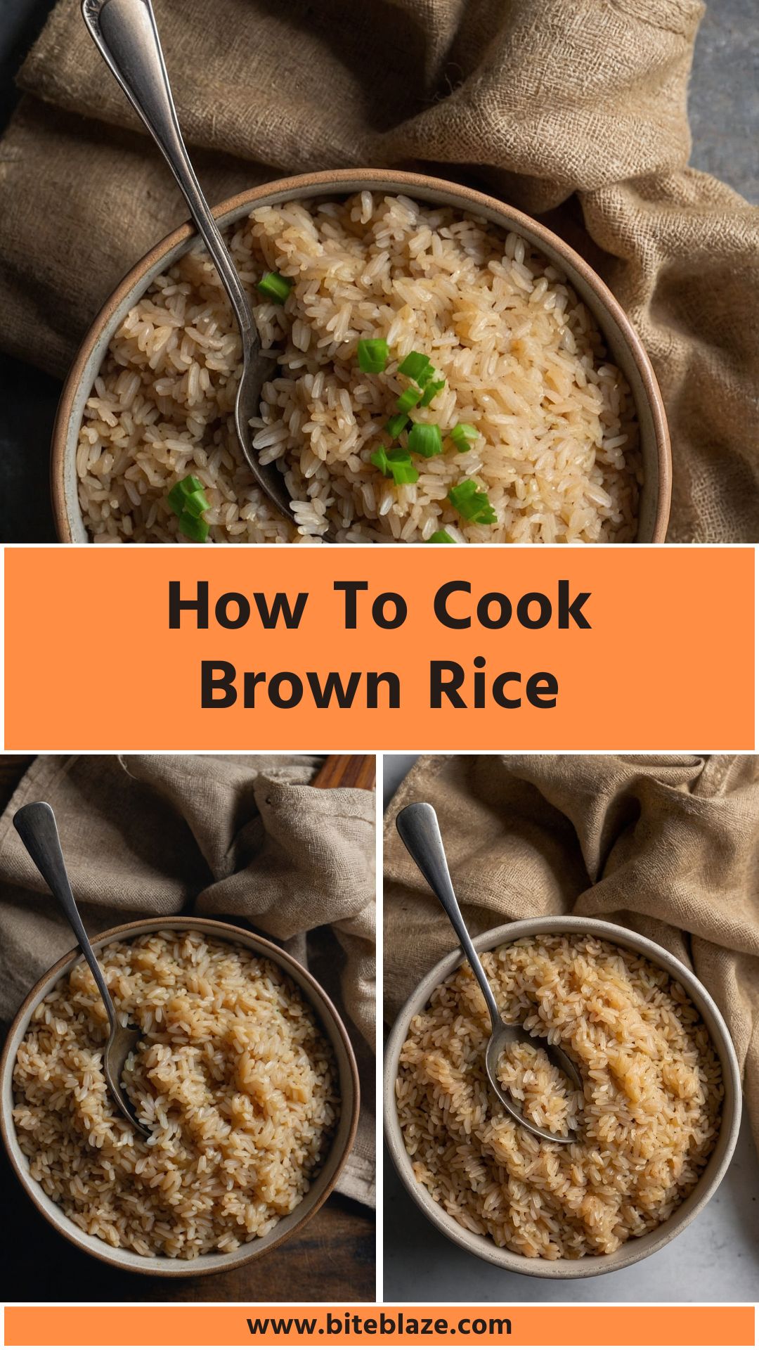 How to Cook Brown Rice – Bite Blaze