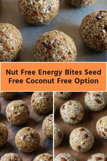 nut free energy bites seed free coconut free option