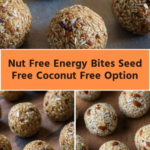 nut free energy bites seed free coconut free option