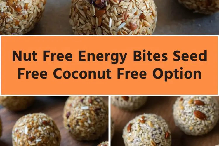 nut free energy bites seed free coconut free option