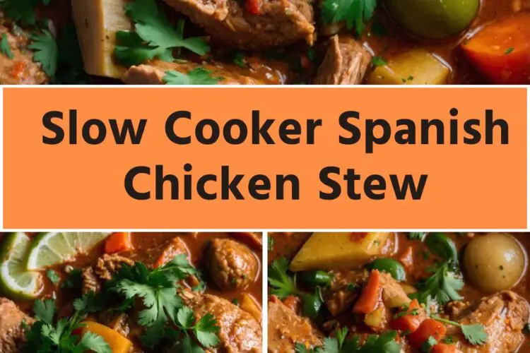 slow cooker spanish chicken stew