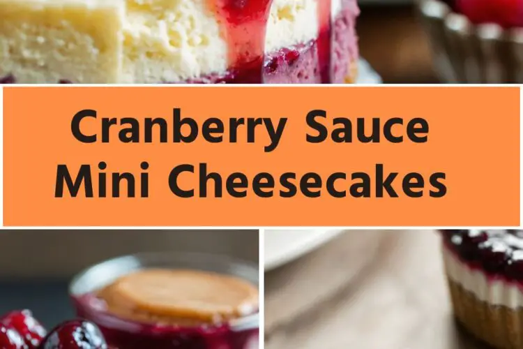 cranberry sauce mini cheesecakes